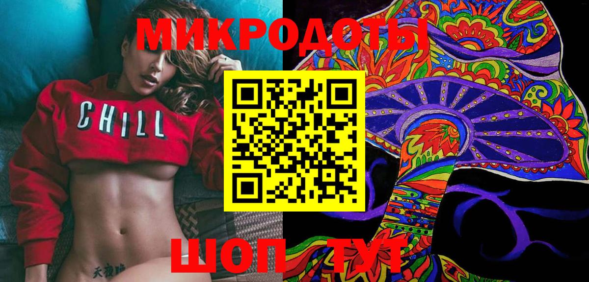 Псилоцибиновые грибы Psilocybe Кисловодск