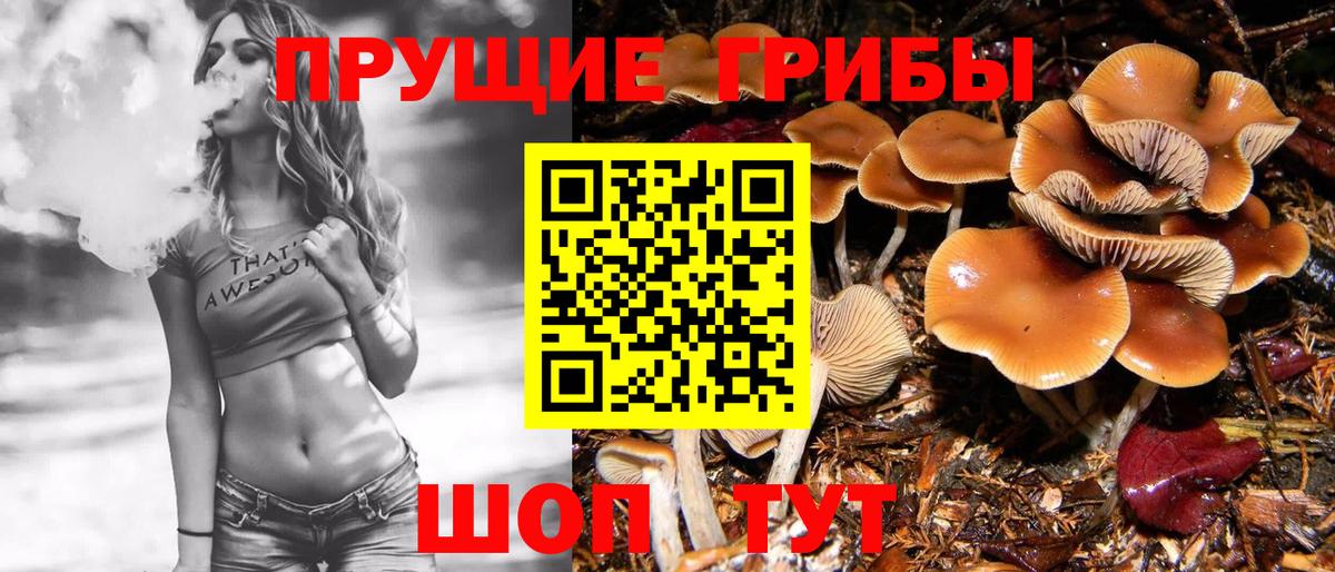 Кисловодск  Галлюциногенные грибы GOLDEN TEACHER  Псилоцибиновые грибы мухоморы  Вход с VPN 